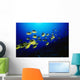Hawaii, Schooling Raccoon Butterflyfish Over Reef Wall Mural