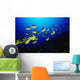 Hawaii, Schooling Raccoon Butterflyfish Over Reef Wall Mural