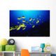 Hawaii, Schooling Raccoon Butterflyfish Over Reef Wall Mural