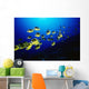 Hawaii, Schooling Raccoon Butterflyfish Over Reef Wall Mural