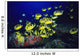 Hawaii, School Of Raccoon Butterflyfish Feeding Along Reef Wall Mural
