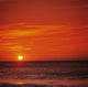 Orange Sunset Over Ocean Water, Sunball On Horizon Wall Mural