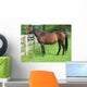 Fat Retired Thoroughbred Wall Mural