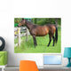 Fat Retired Thoroughbred Wall Mural