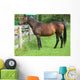 Fat Retired Thoroughbred Wall Mural