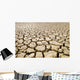 Africa, Namibia, Detail Of Cracked Mud In Dry Lake Bed Wall Mural
