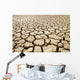 Africa, Namibia, Detail Of Cracked Mud In Dry Lake Bed Wall Mural