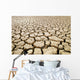Africa, Namibia, Detail Of Cracked Mud In Dry Lake Bed Wall Mural