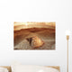 Seashell Laying In The Sand With Sun Setting Behind It Wall Mural
