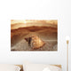 Seashell Laying In The Sand With Sun Setting Behind It Wall Mural