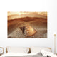 Seashell Laying In The Sand With Sun Setting Behind It Wall Mural