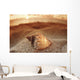 Seashell Laying In The Sand With Sun Setting Behind It Wall Mural