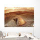 Seashell Laying In The Sand With Sun Setting Behind It Wall Mural