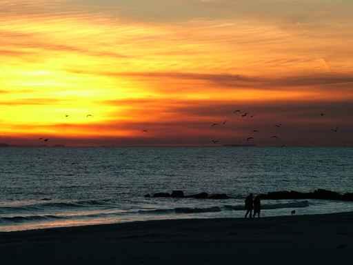 Long Beach Sunset Wall Decal