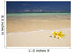 Two Plumerias Resting On The Sand Of A Gorgeous Tropical Beach Wall Mural