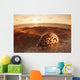 Spotted seashell laying in sand with sun setting behind It Wall Mural