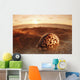 Spotted seashell laying in sand with sun setting behind It Wall Mural