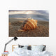 Seashell Laying In The Sand With Sun Setting Behind It Wall Mural