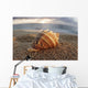 Seashell Laying In The Sand With Sun Setting Behind It Wall Mural