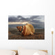 Seashell Laying In The Sand With Sun Setting Behind It Wall Mural