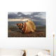 Seashell Laying In The Sand With Sun Setting Behind It Wall Mural
