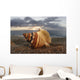 Seashell Laying In The Sand With Sun Setting Behind It Wall Mural