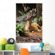 Oregon, Black-Tailed Deer, Wall Mural