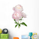 Light Pink Peony Flower Wall Decal