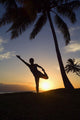 Hawaii, Maui, Olowalu, Woman Doing Yoga At Sunset Under Palm Trees Wall Mural