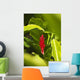 Red Ginger Flower Between Green Leaves Wall Mural