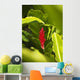 Red Ginger Flower Between Green Leaves Wall Mural