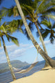 Hammock tied between palm trees on sandy beach Wall Mural