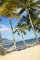 Two Hammocks Hang Between Palm Trees On Sandy Tropical Beach Wall Mural