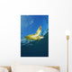 Hawaii, Green Sea Turtle Swimming Near Surface Wall Mural