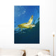 Hawaii, Green Sea Turtle Swimming Near Surface Wall Mural