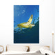 Hawaii, Green Sea Turtle Swimming Near Surface Wall Mural