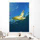 Hawaii, Green Sea Turtle Swimming Near Surface Wall Mural
