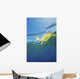 Hawaii, Green Sea Turtle Swimming Near Surface Wall Mural