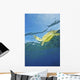 Hawaii, Green Sea Turtle Swimming Near Surface Wall Mural