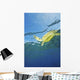 Hawaii, Green Sea Turtle Swimming Near Surface Wall Mural