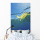 Hawaii, Green Sea Turtle Swimming Near Surface Wall Mural