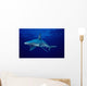 USA, Sandbar Shark in clear blue water near surface Wall Mural