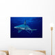 USA, Sandbar Shark in clear blue water near surface Wall Mural