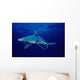 USA, Sandbar Shark in clear blue water near surface Wall Mural