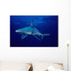 USA, Sandbar Shark in clear blue water near surface Wall Mural