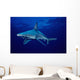 USA, Sandbar Shark in clear blue water near surface Wall Mural