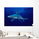 USA, Sandbar Shark in clear blue water near surface Wall Mural