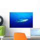 Thailand, Silvertip Shark In Clear Blue Water Wall Mural