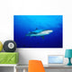 Thailand, Silvertip Shark In Clear Blue Water Wall Mural