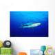 Thailand, Silvertip Shark In Clear Blue Water Wall Mural